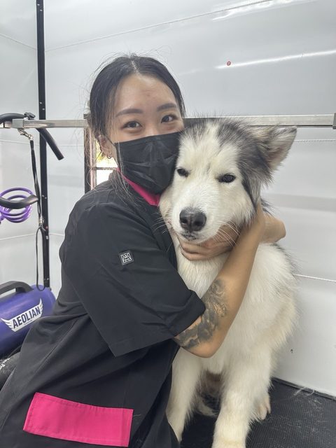 Groomer Yun Qi hugging a Siberian Husky during a de-shedding session